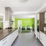 Pr' Petrcu טולמין