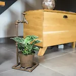 Pr' Petrcu דירה טולמין