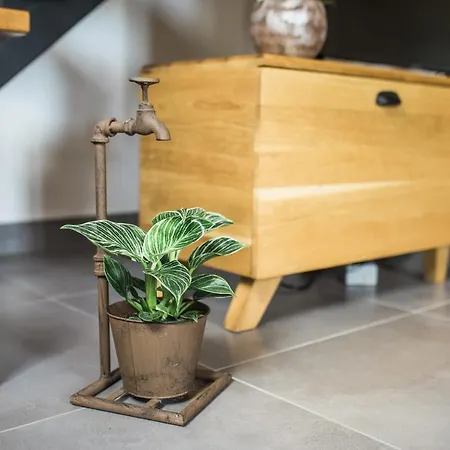 Pr' Petrcu Apartamento Tolmin