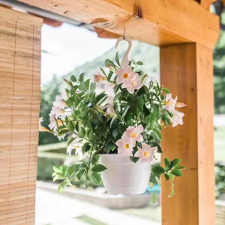 Pr' Petrcu Apartamento