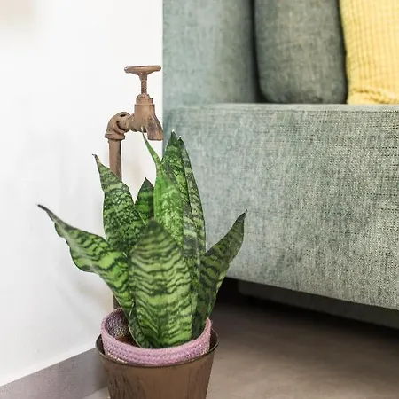 Pr' Petrcu Apartamento Tolmin