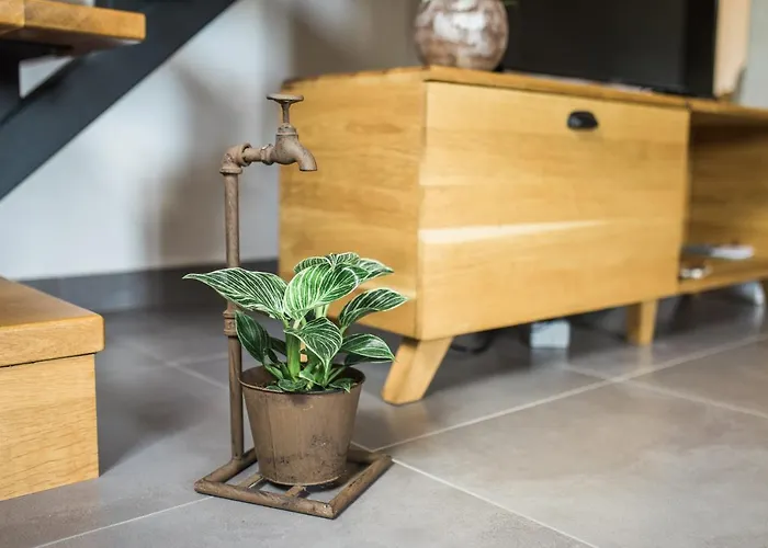 Pr' Petrcu Apartment Tolmin