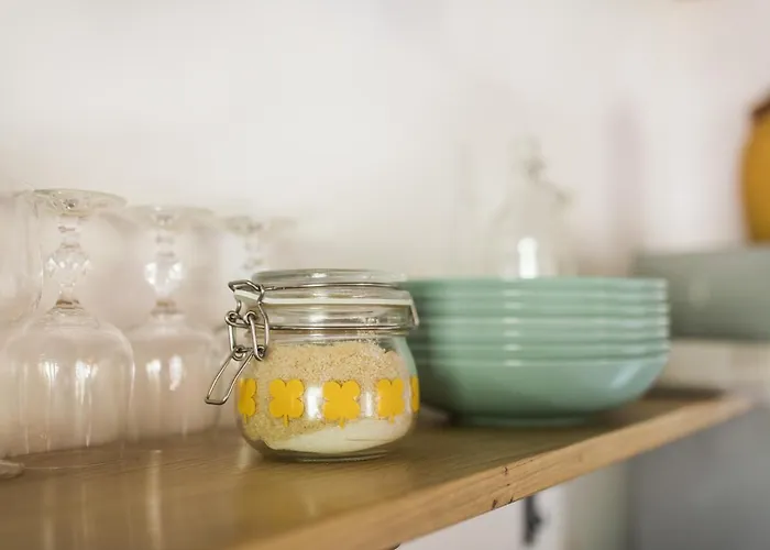 Pr' Petrcu トールミン