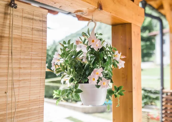 Pr' Petrcu Apartment