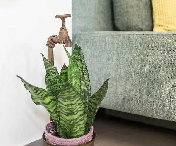 Pr' Petrcu Apartment Tolmin